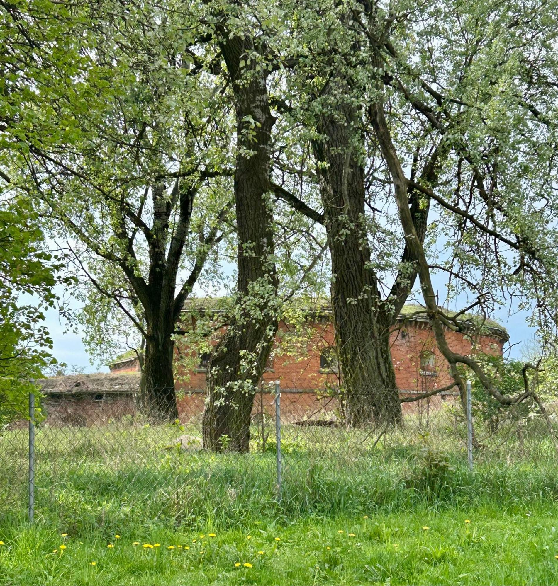 Studio Modlin Nowy Dwór Mazowiecki Dış mekan fotoğraf